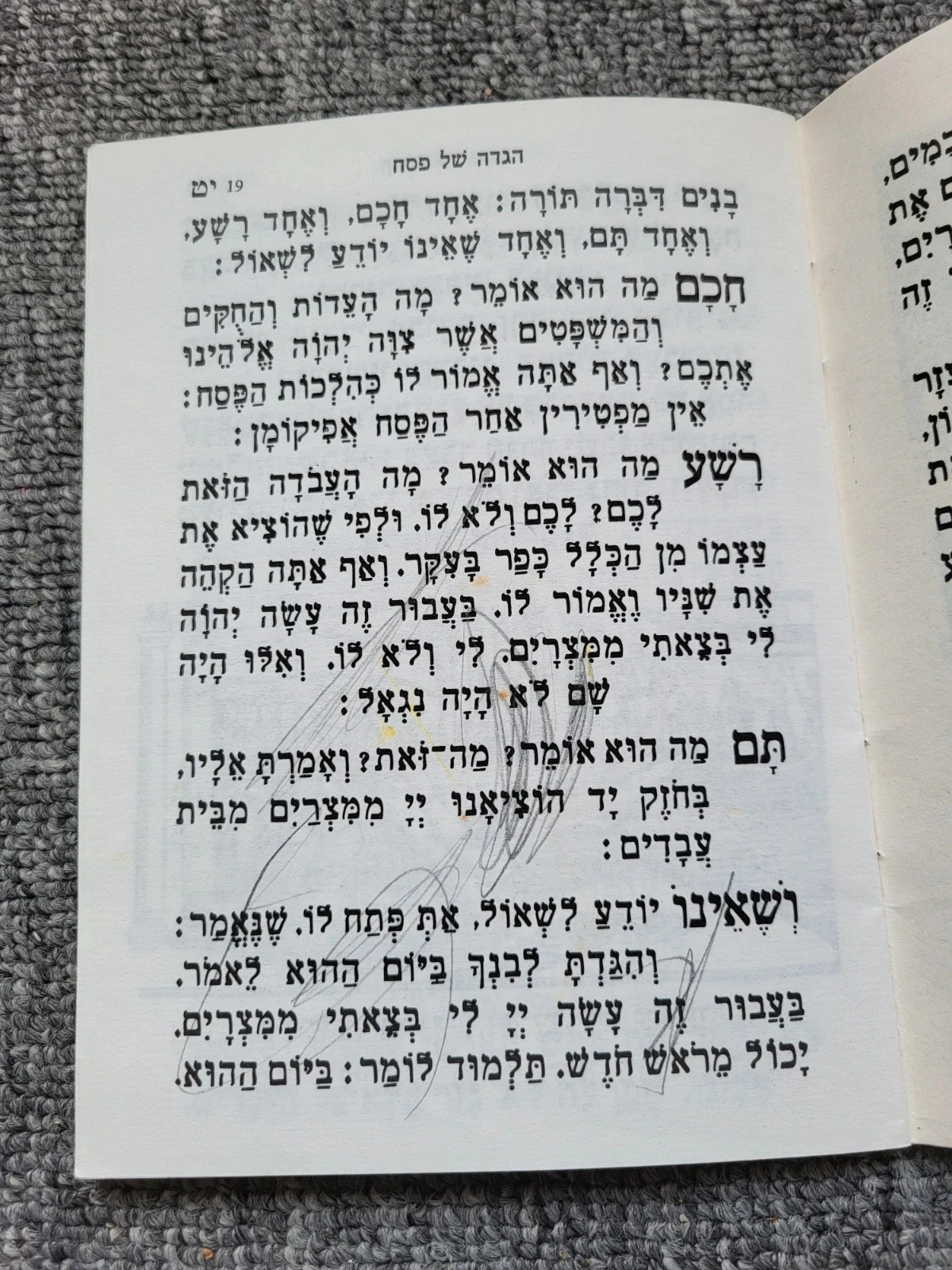 Libro de Haggada de Pésaj - Edición Nadjar - Judaica Ilustración Hebreo – photo 10